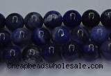 CSO611 15.5 inches 6mm round sodalite gemstone beads wholesale