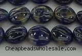 CSO671 15.5 inches 12mm flat round sodalite gemstone beads