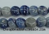 CSO80 15.5 inches 12mm flat round sodalite gemstone beads wholesale