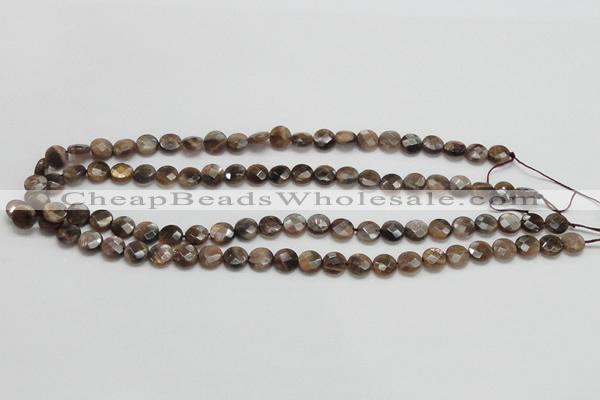 CSS104 15.5 inches 8mm faceted coin natural sunstone beads wholesale