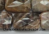 CSS115 15.5 inches 20*30mm faceted rectangle natural sunstone beads