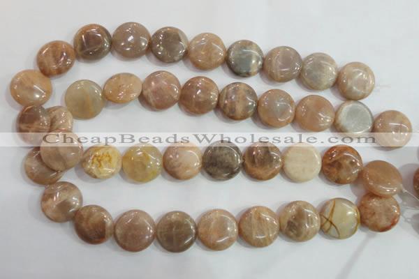 CSS260 15.5 inches 20mm flat round natural sunstone beads