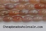 CSS265 15.5 inches 5*8mm rice sunstone beads wholesale