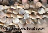 CSS437 15.5 inches 16mm twisted coin sunstone beads wholesale