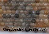 CSS846 15 inches 3mm faceted round sunstone beads