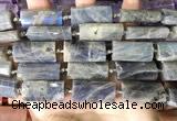 CTB674 14*27mm - 15*28mm faceted flat tube labradorite beads