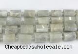 CTB876 13*25mm - 14*19mm faceted tube moonstone beads