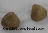 CTD1585 Top drilled 13*15mm - 18*20mm freeform shell fossil beads