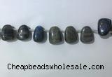 CTD2151 Top drilled 15*25mm - 18*25mm freeform labradorite beads