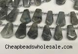 CTD2275 Top drilled 16*28mm - 20*30mm faceted freeform labradorite beads