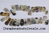 CTD2733 Top drilled 15*25mm - 20*35mm freeform montana agate beads