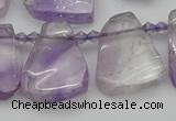 CTD336 Top drilled 15*20mm - 25*30mm freeform amethyst beads