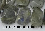 CTD3573 15.5 inches 15*20mm - 18*25mm freeform labradorite beads