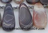 CTD3647 Top drilled 10*20mm - 15*45mm freeform matte botswana agate beads