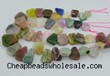 CTD3699 Top drilled 15*20mm - 25*30mm freeform mixed gemstone beads