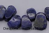 CTD377 Top drilled 10*14mm - 15*20mm freeform lapis lzuli beads