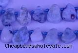 CTD3859 Top drilled 6*8mm - 10*12mm freeform larimar beads