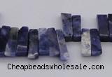 CTD401 Top drilled 4*15mm - 6*20mm sticks sodalite gemstone beads