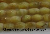 CTE1515 15.5 inches 6*10mm rice golden tiger eye beads wholesale