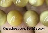 CTE2010 15.5 inches 10mm round golden tiger eye beads wholesale