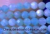 CTG1050 15.5 inches 2mm faceted round tiny amazonite beads