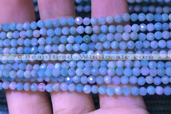 CTG1166 15.5 inches 3mm faceted round tiny amazonite beads