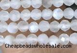 CTG1401 15.5 inches 2mm faceted round white moonstone beads wholesale