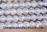 CTG1402 15.5 inches 2mm faceted round white moonstone beads wholesale