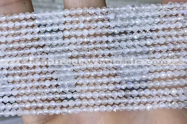 CTG1402 15.5 inches 2mm faceted round white moonstone beads wholesale