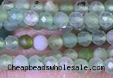 CTG1414 15.5 inches 2mm faceted round Australia chrysoprase beads