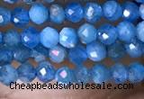 CTG1418 15.5 inches 2mm faceted round apatite beads wholesale