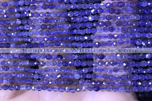 CTG1444 15.5 inches 2mm faceted round iolite beads wholesale