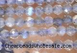 CTG1458 15.5 inches 2mm faceted round labradorite gemstone beads