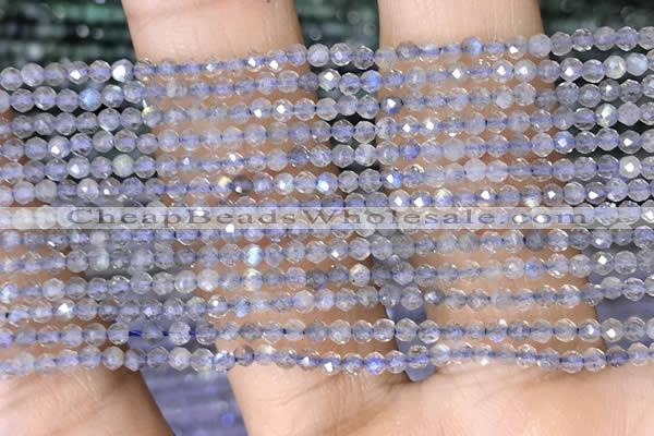 CTG1458 15.5 inches 2mm faceted round labradorite gemstone beads