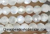 CTG1480 15.5 inches 3mm faceted round white moonstone beads