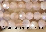 CTG1502 15.5 inches 3mm faceted round moonstone beads wholesale