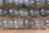 CTG1582 15.5 inches 4mm round grey moonstone beads wholesale