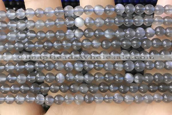 CTG1582 15.5 inches 4mm round grey moonstone beads wholesale