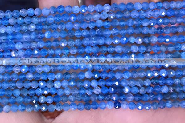 CTG1613 15.5 inches 3mm faceted round tiny apatite beads