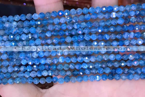 CTG1614 15.5 inches 3.5mm faceted round tiny apatite beads