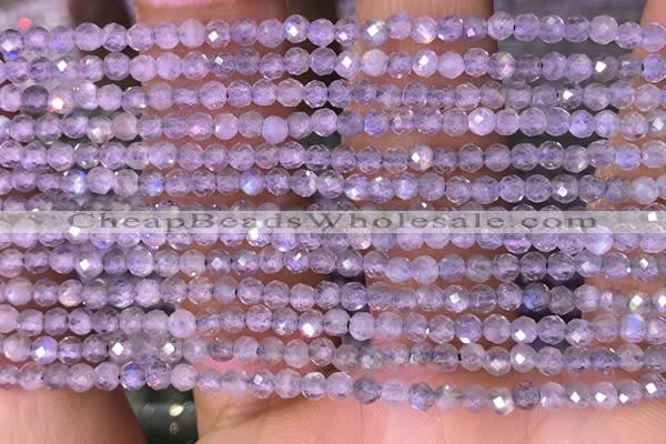 CTG1618 15.5 inches 2mm faceted round tiny labradorite beads