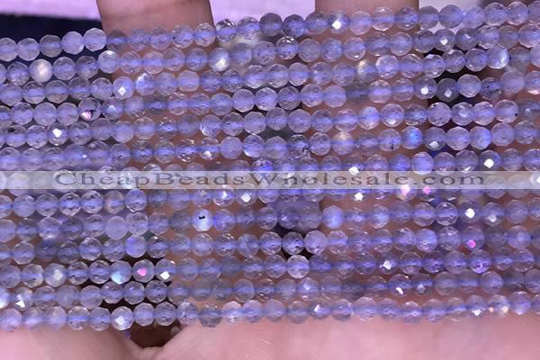 CTG1622 15.5 inches 3mm faceted round tiny labradorite beads