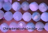 CTG1626 15.5 inches 3.5mm faceted round tiny amazonite beads