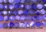 CTG1665 15.5 inches 2mm faceted round tiny sodalite beads