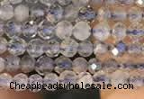 CTG2133 15 inches 2mm,3mm faceted round labradorite gemstone beads