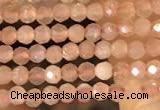 CTG2138 15 inches 2mm,3mm faceted round sunstone gemstone beads