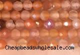 CTG2142 15 inches 2mm,3mm faceted round golden sunstone beads