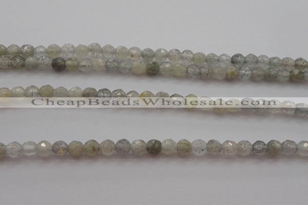 CTG217 15.5 inches 3mm faceted round tiny labradorite beads