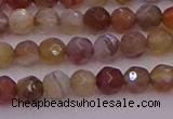 CTG514 15.5 inches 4mm faceted round tiny botswana agate beads