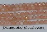 CTG607 15.5 inches 3mm faceted round peach moonstone beads